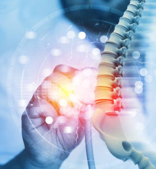 Doctor check and diagnose the human spine on blurred background